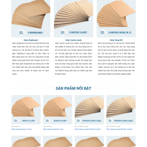 Mẫu thiết kế website bao bì Carton Thanh Bình